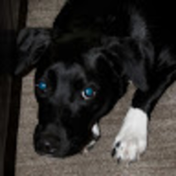 Meet your Posher, Stephanie - Picture 1 of 1